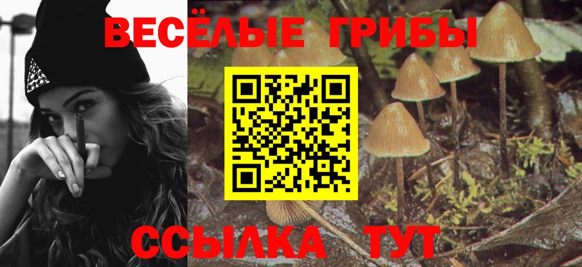 Галлюциногенные грибы Cubensis  Галлюциногенные грибы Psilocybine cubensis  Вход с VPN  Беслан 